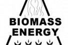 Risparmio energetico, Regione Veneto: modifiche alla nuova normativa per le biomasse