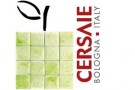News, il mondo dell’Informazione nel cuore di Cersaie 2011 ”Agorà della Stampa” e ”Tv and Web Villege” ospitati nel Quadriportico