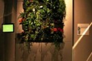 Wall up® presenta il giardino verticale domestico PRATICO a Greenbuilding 2011