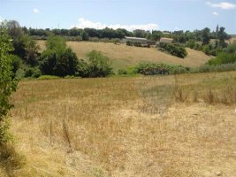 TERRENO ABRUZZO